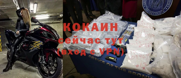 индика Нефтегорск