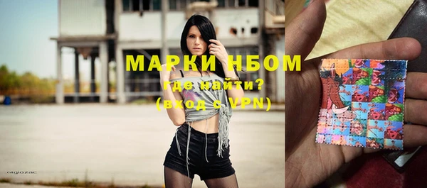 индика Нефтегорск